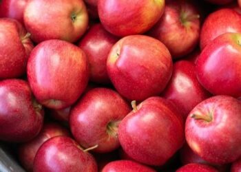 Woolworths: Redefining Everyday Shopping with Quality and Trust