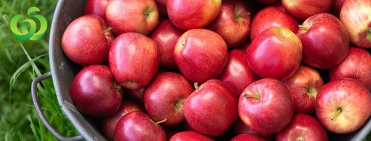 Woolworths: Redefining Everyday Shopping with Quality and Trust