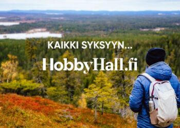 HobbyHall: Moderni verkkokauppa jokapäiväisiin tarpeisiin