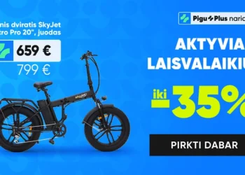 Pigu: Išmanioji Internetinė Parduotuvė Kasdieniams Pirkiniams ir Puikiems Sutaupymams
