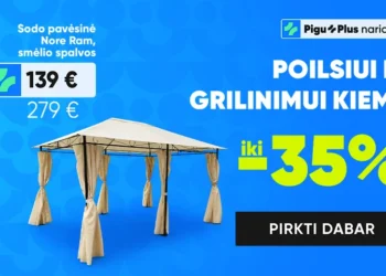 Pigu: Išmanioji Internetinė Parduotuvė Kasdieniams Pirkiniams ir Puikiems Sutaupymams