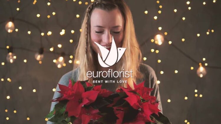 Euroflorist: Frische Blumen online bestellen und von attraktiven Angeboten profitieren