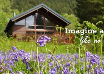 Escape into Nature with Forest Holidays: Discover Luxury Cabin Breaks and Exclusive Offers