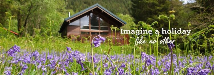 Escape into Nature with Forest Holidays: Discover Luxury Cabin Breaks and Exclusive Offers