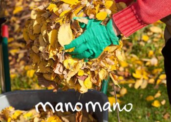 ManoMano Ongoing Offers: Save More on DIY, Home Improvement & Garden Essentials
