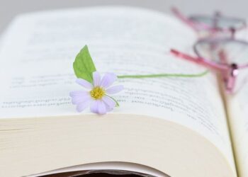 Medimops Angebote entdecken: Bücher, Filme, Spiele und mehr günstig kaufen