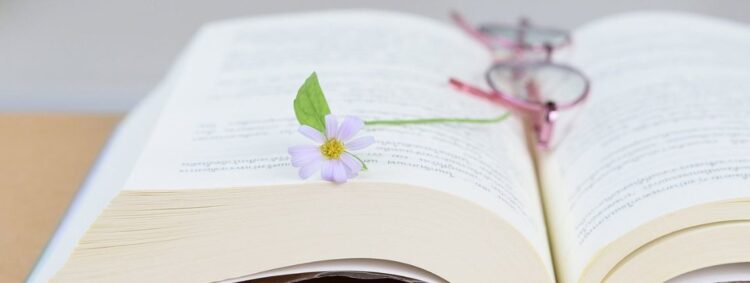 Medimops Angebote entdecken: Bücher, Filme, Spiele und mehr günstig kaufen