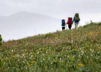 Osprey: Premium Backpacks and Travel Gear Designed for Every Adventure