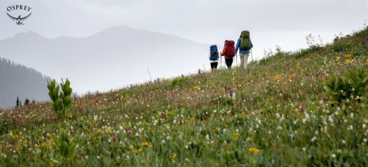 Osprey: Premium Backpacks and Travel Gear Designed for Every Adventure