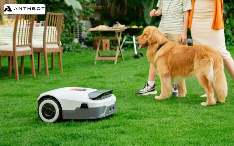 Anthbot: Intelligente Gartenpflege beginnt mit moderner Automatisierung