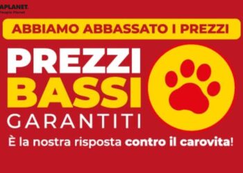 Arcaplanet: il punto di riferimento per il benessere dei tuoi animali domestici