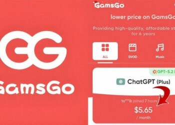 GamsGo로 프리미엄 구독을 더욱 저렴하게 이용하세요: 합리적인 디지털 엔터테인먼트를 위한 스마트 가이드