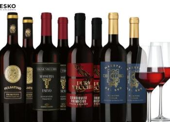 Hawesko: Internationale Weinregionen entdecken – Eine Genussreise durch die besten Anbaugebiete