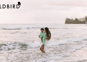Wildbird Unlimited: Explore Bird Feeding Essentials and Ongoing Offers