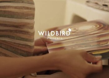 Wildbird: Explore Bird Feeding Essentials, Quality Products and Ongoing Offers