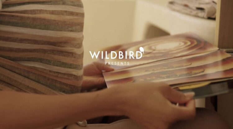 Wildbird: Explore Bird Feeding Essentials, Quality Products and Ongoing Offers