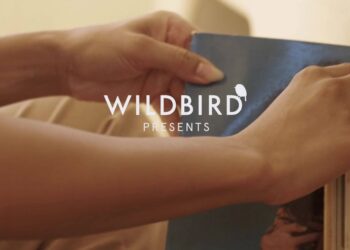 Wildbird: Discover Quality Bird Feeders, Food, and Ongoing Offers for Bird Lovers