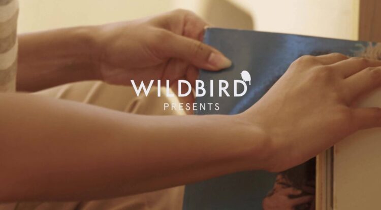 Wildbird: Discover Quality Bird Feeders, Food, and Ongoing Offers for Bird Lovers