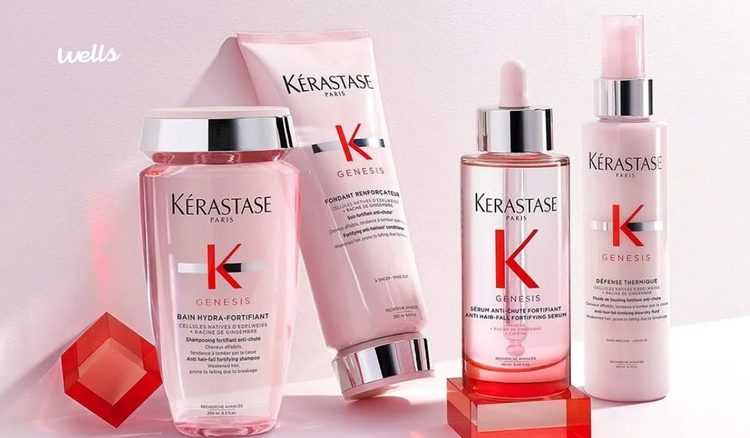 Wells: Descobre um Mundo de Saúde, Beleza e Bem-Estar com Produtos de Qualidade e Promoções Especiais